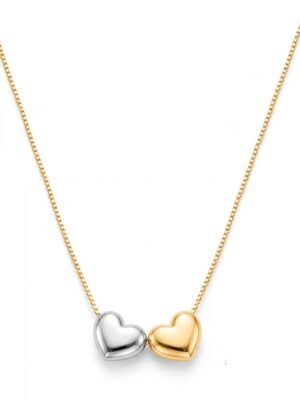 Colar bicolor corações